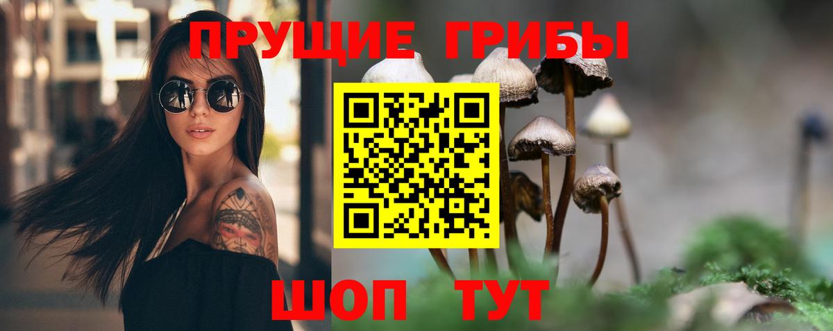 Лесной  Галлюциногенные грибы мицелий  Вход с VPN 